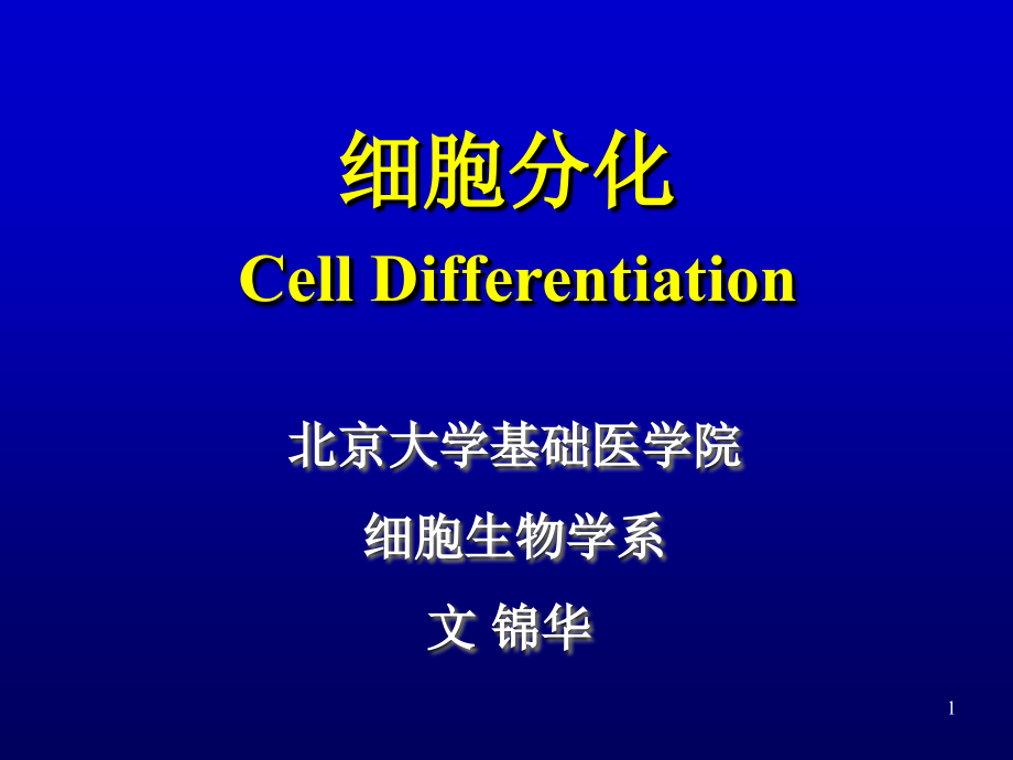 细胞分化_第1页