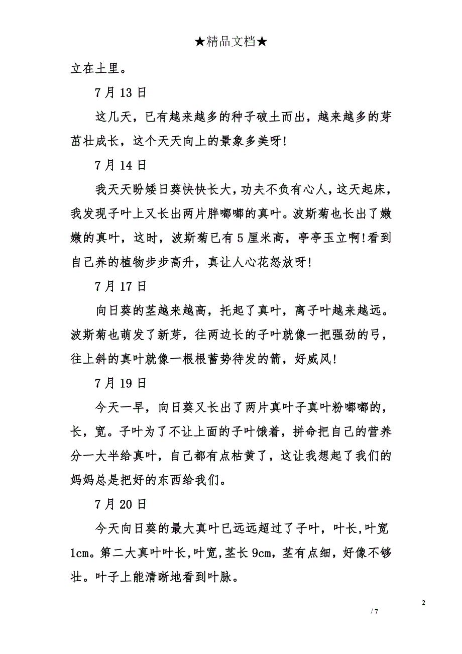 硫华菊生长观察日记_第2页