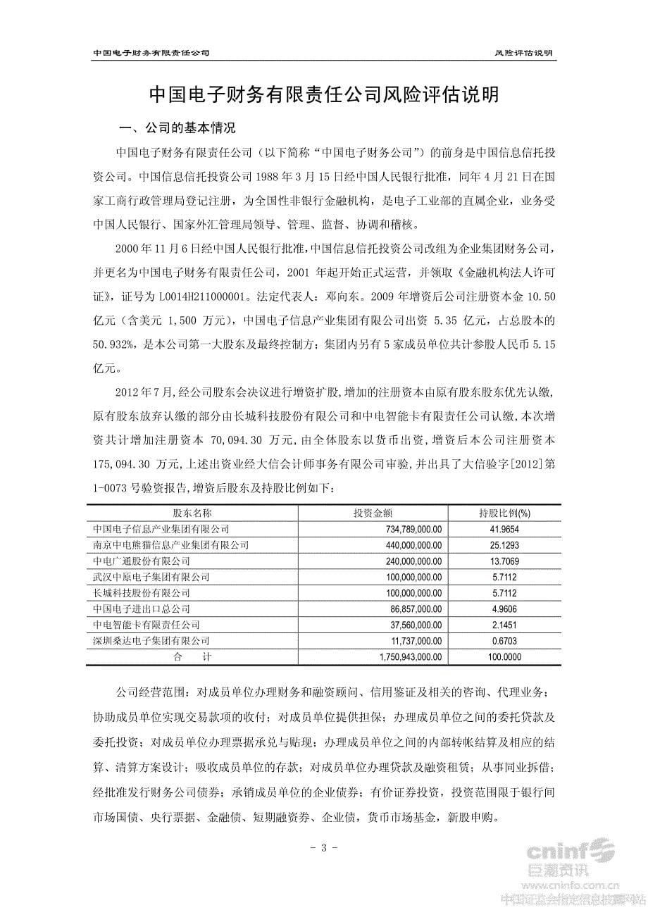 中国电子财务有限责任公司风险评估报告_第5页