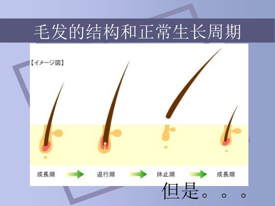 孙馗斌激光在人体脱毛方面的应用_第3页