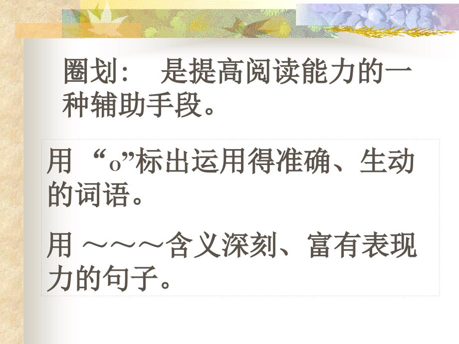 《夜莺之歌》课件_第3页