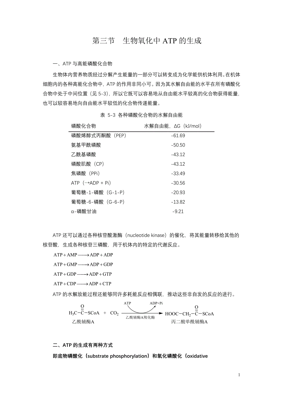 第三节生物氧化中ATP的生成_第1页