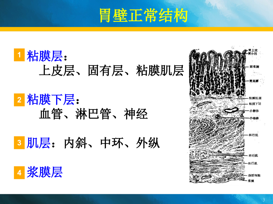 急性胃炎、慢性胃炎诊疗新、全、美摘要_第3页