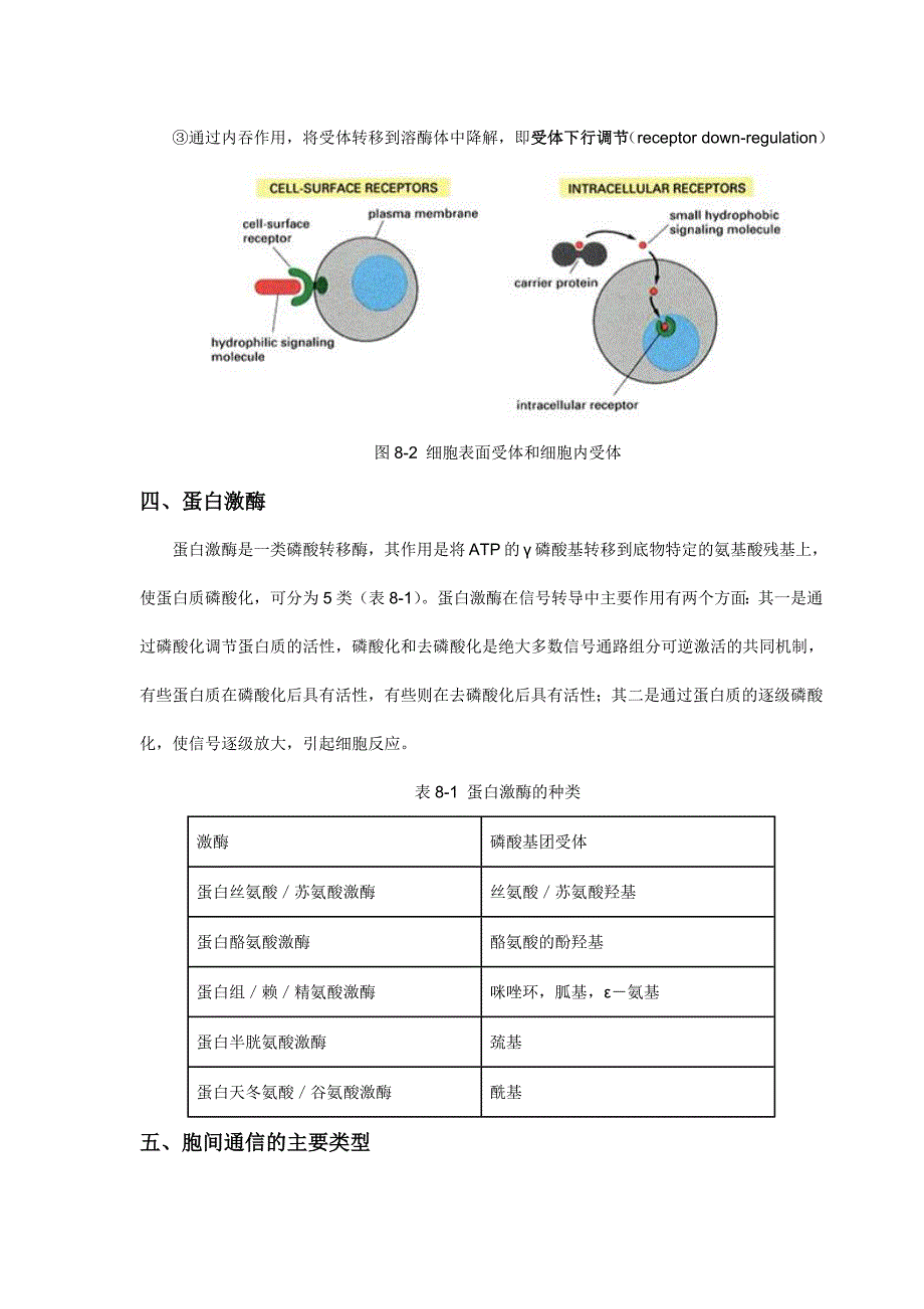 细胞通讯_第4页