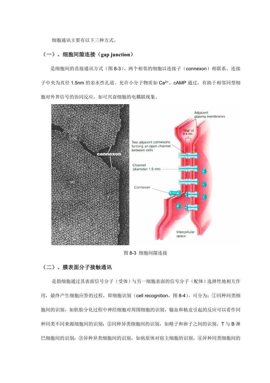 细胞通讯_第5页