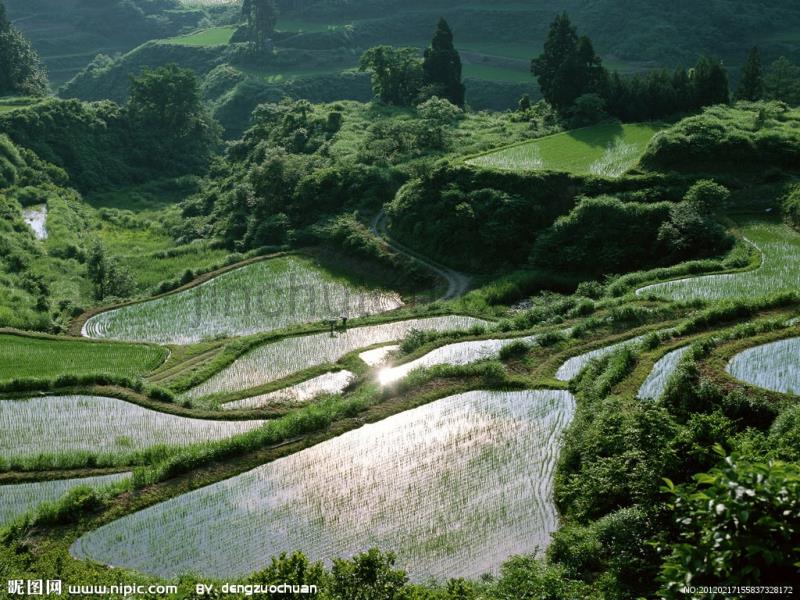 我们的田野 音乐课件_第4页