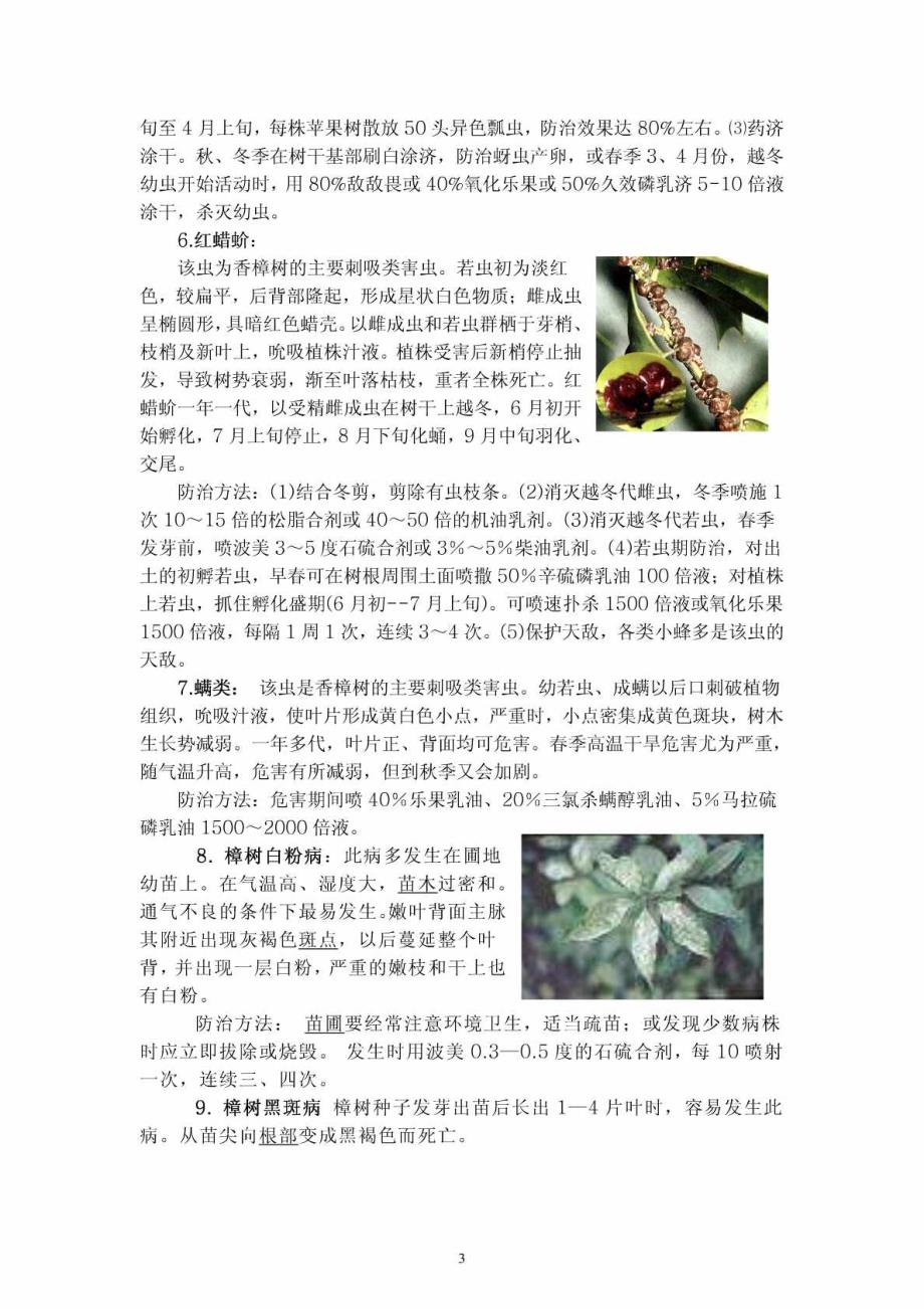 （生物科研）常见园林植物病虫害精选_第3页