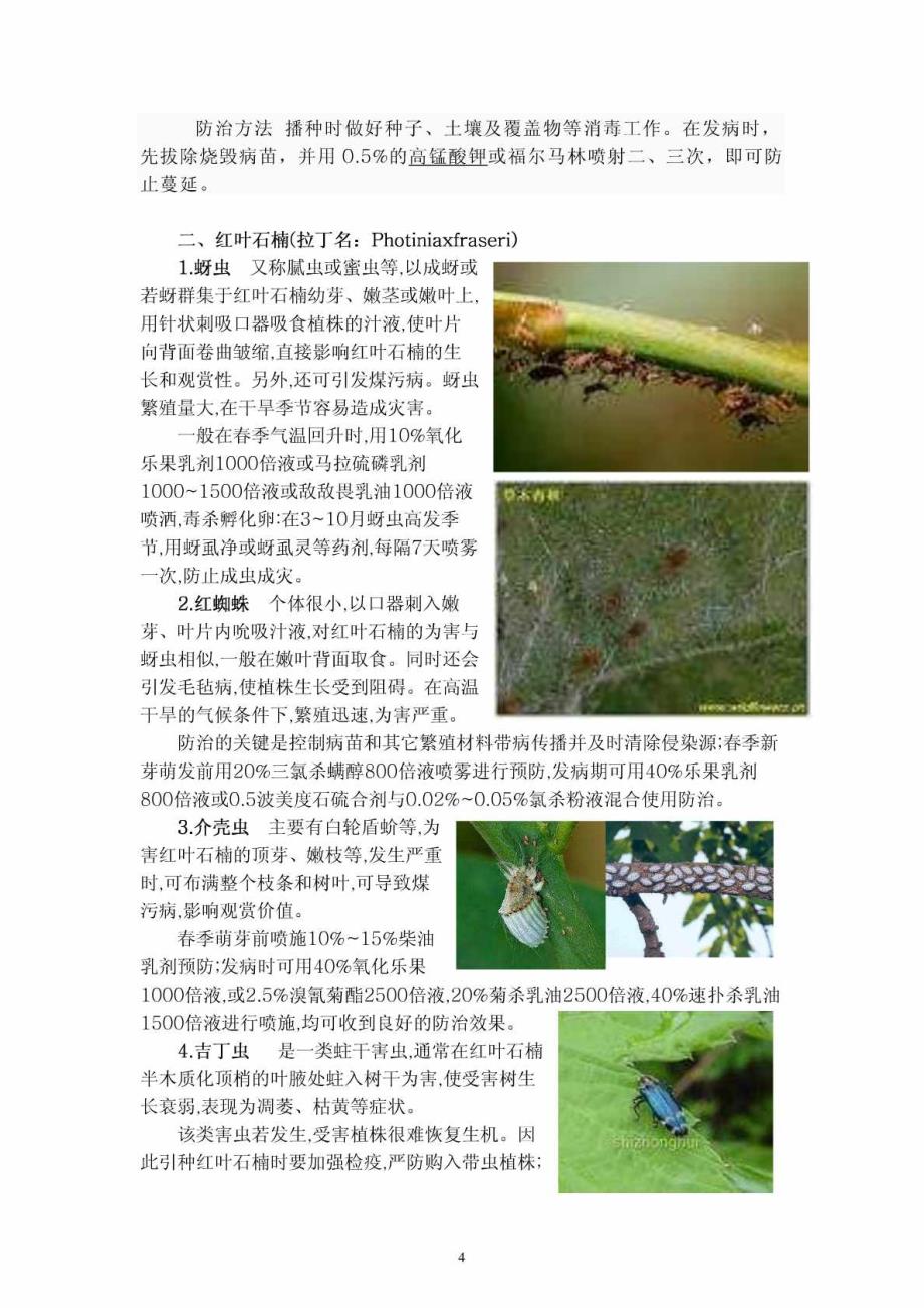 （生物科研）常见园林植物病虫害精选_第4页