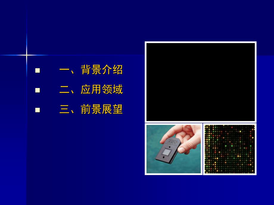 基因芯片技术及其应用_第2页