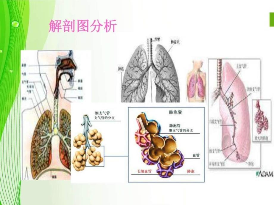 慢性阻塞性肺疾病的护理._第3页