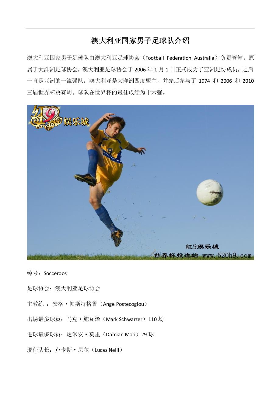 澳大利亚国家男子足球队介绍_第1页