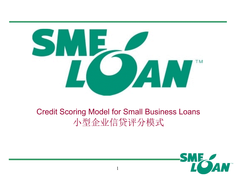 小型企业信贷评分模式_第1页