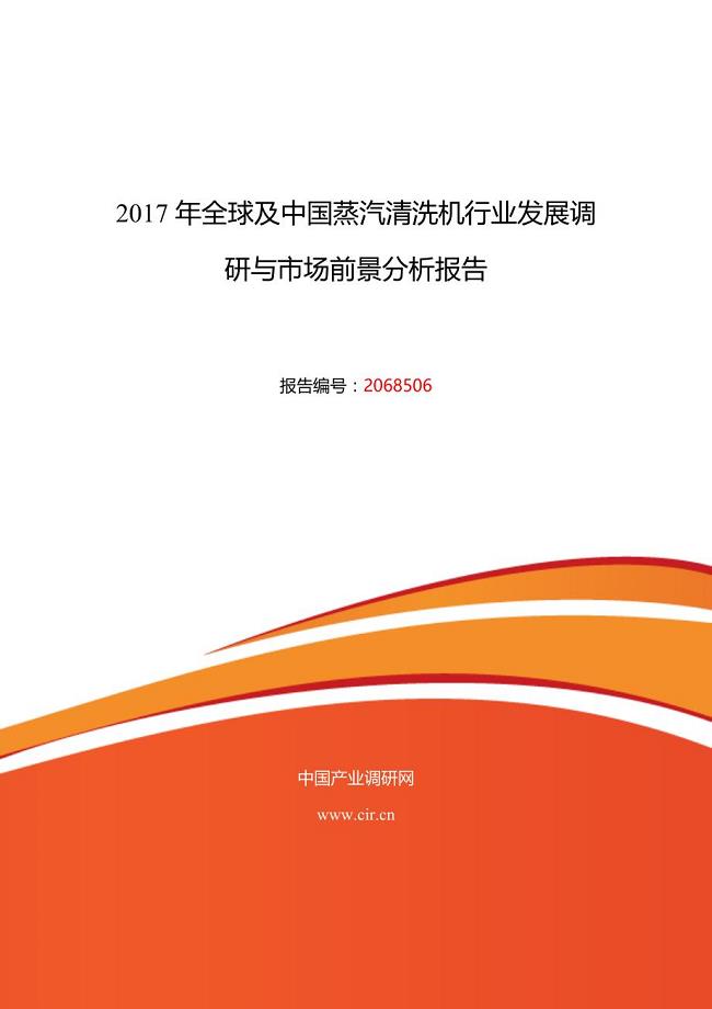 2017年蒸汽清洗机行业现状及发展趋势分析 (目录)
