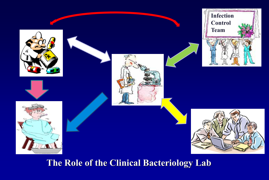 临床微生物室标本处理及操作流程_第2页