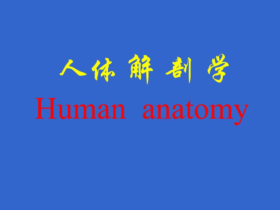 人体 解 剖 学——感觉器官_第1页