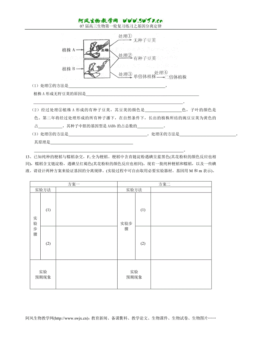 基因分离定律练习一_第3页