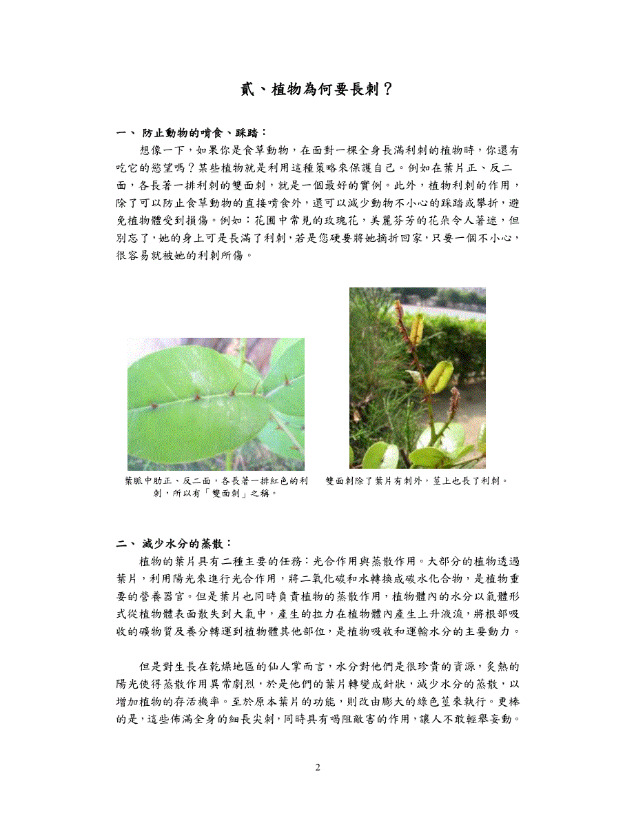 教材-有刺植物_第2页