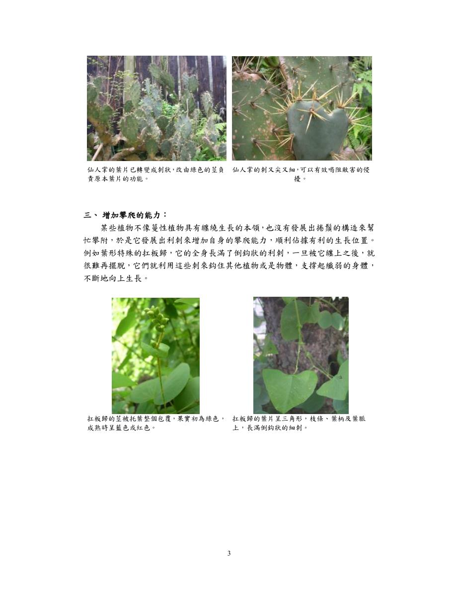 教材-有刺植物_第3页