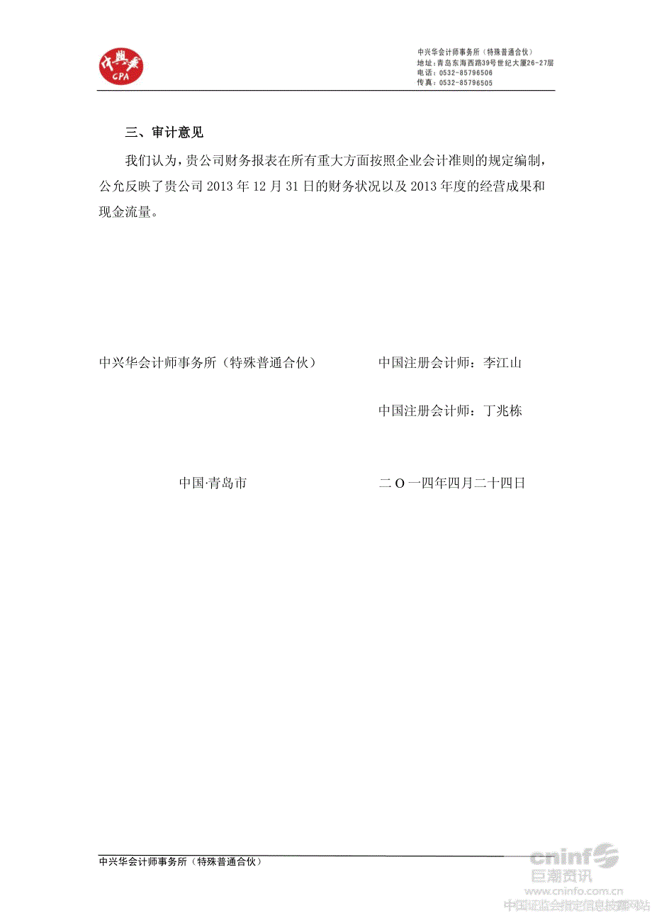 希努尔：2013年年度审计报告_第3页