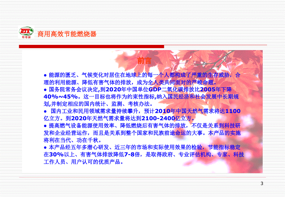 商用高效燃气节能燃烧器_第3页