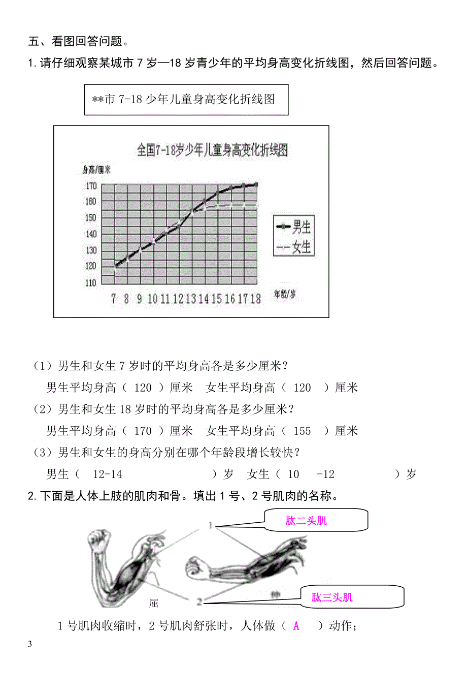 小学科学第六单元练习_第3页