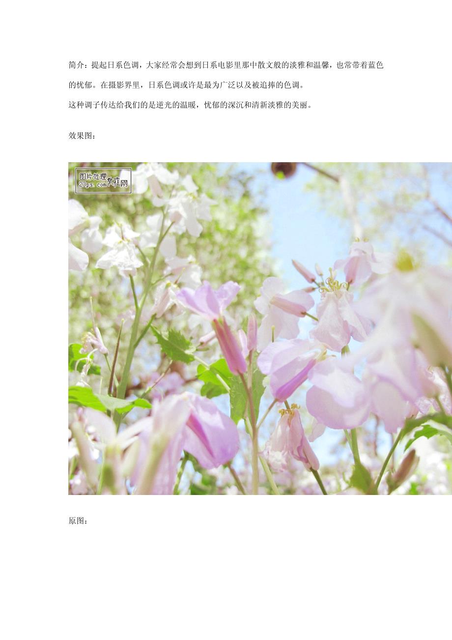ps教程外景花朵清新淡雅的日系色调_第1页