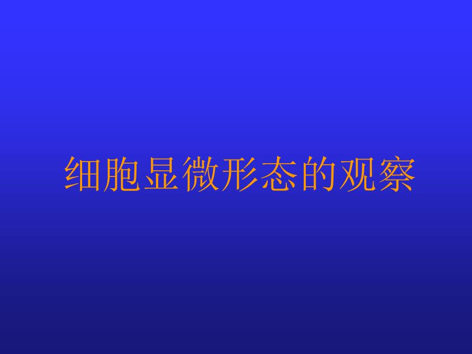 细胞精美显微图片_第1页