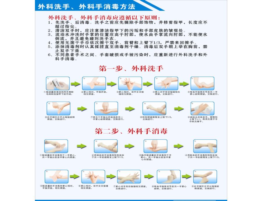 手卫生宣传_第2页