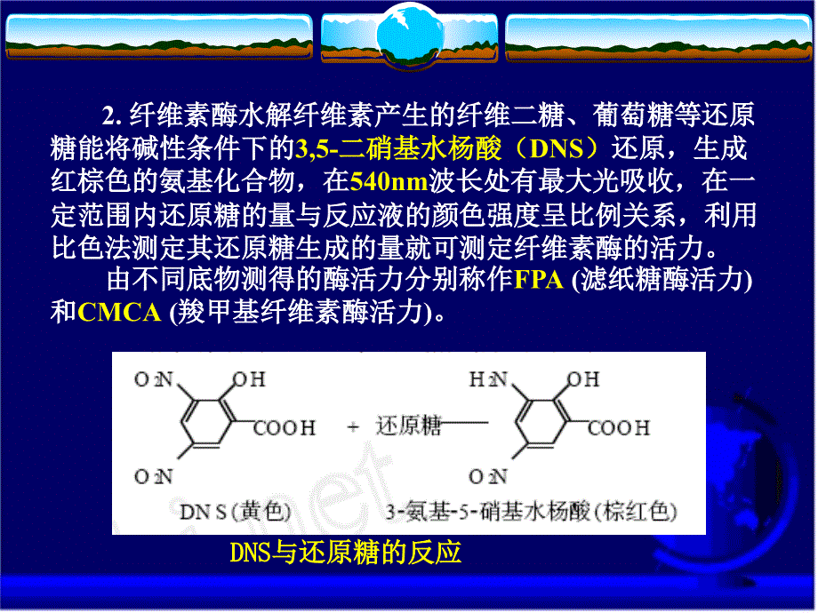 纤维素酶活力的测定-唐志强_第4页
