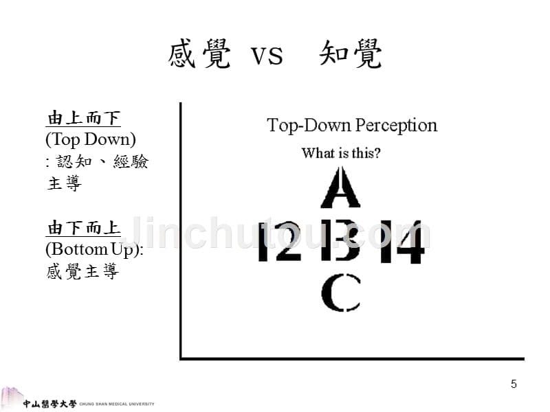 感觉与知觉_第5页