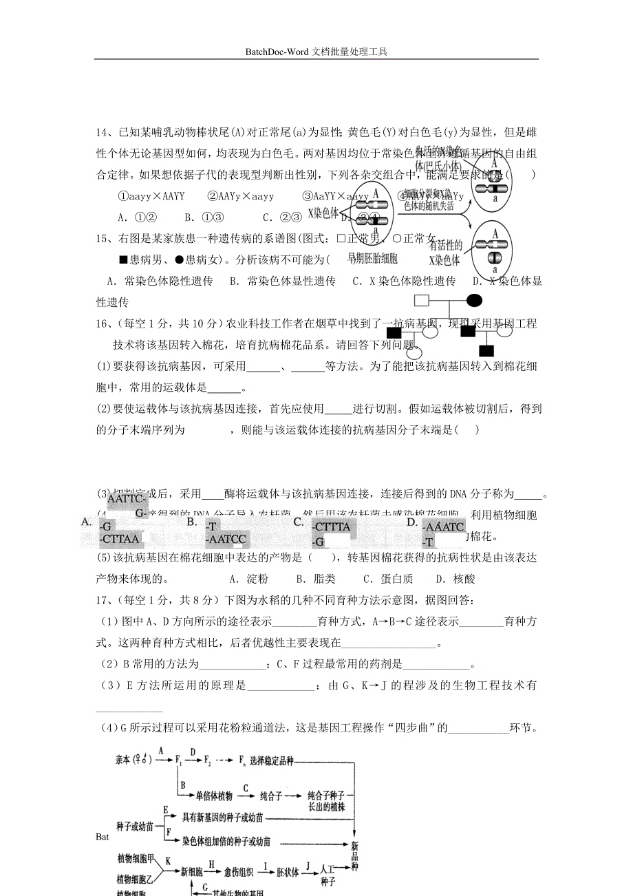 2013山东版必修2第四单元《遗传变异与进化》word同步测试_第3页