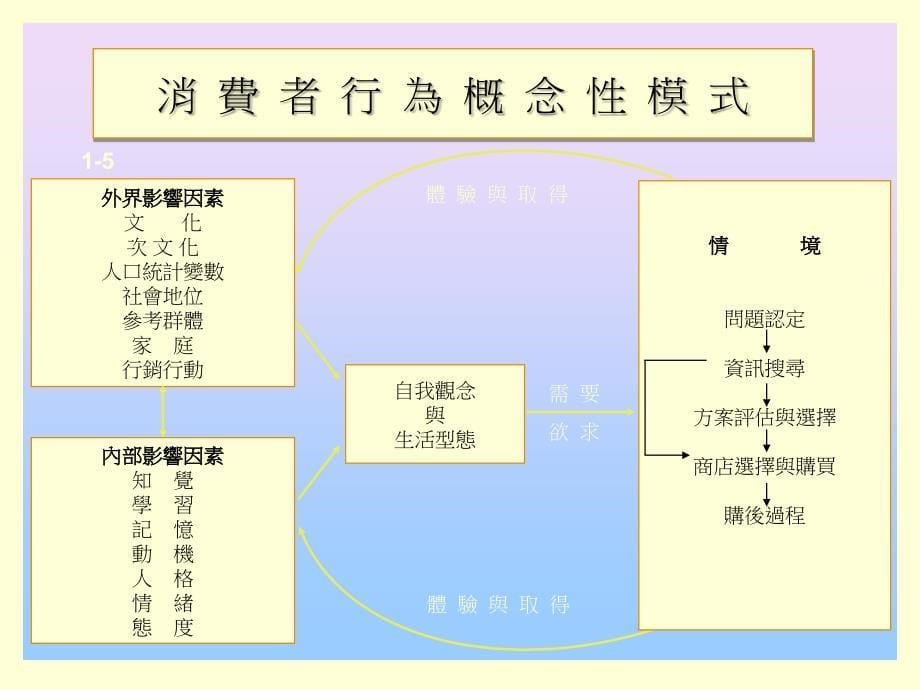 行销策略与消费者行为结果_第5页