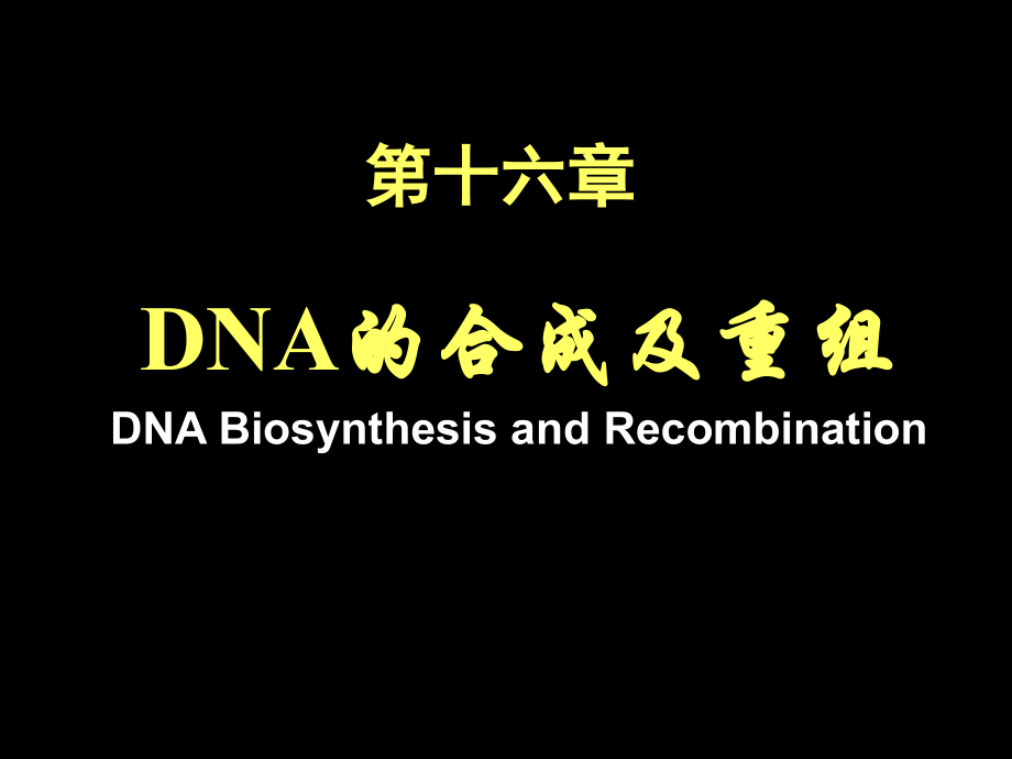 DNA的生物合成和损伤修复_第1页