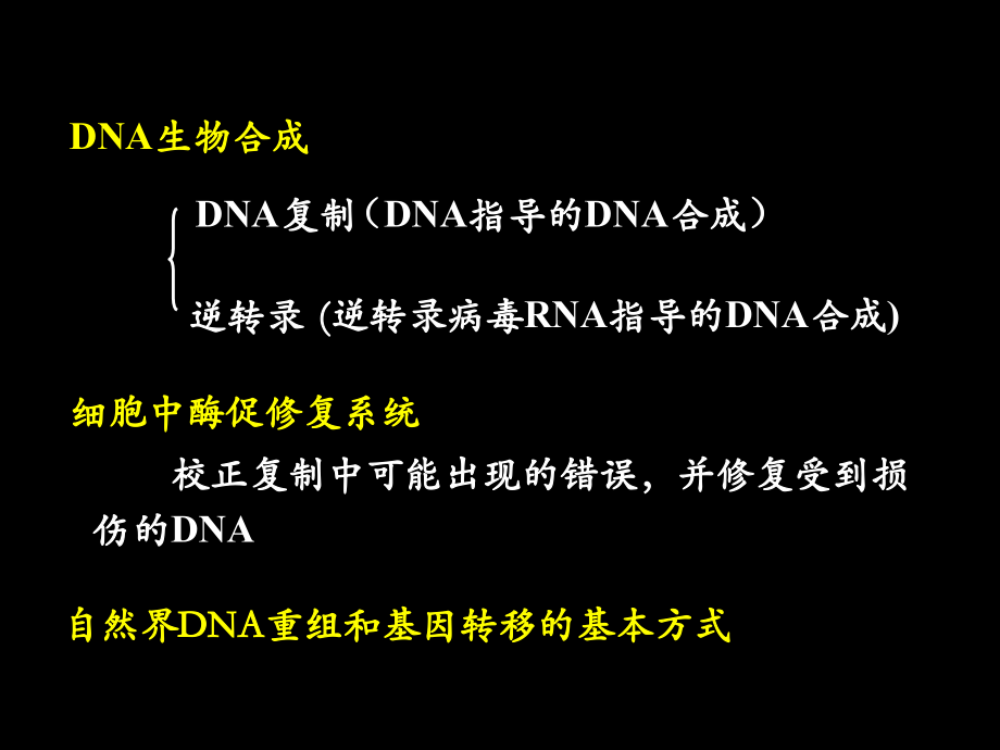 DNA的生物合成和损伤修复_第2页