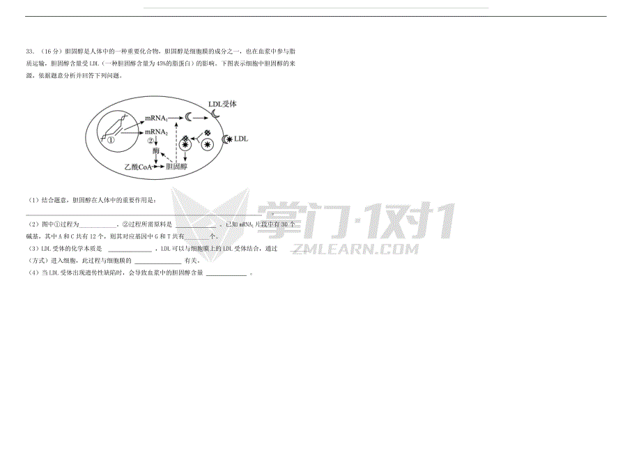 2015-2016统练生物试卷-掌门1对1_第4页