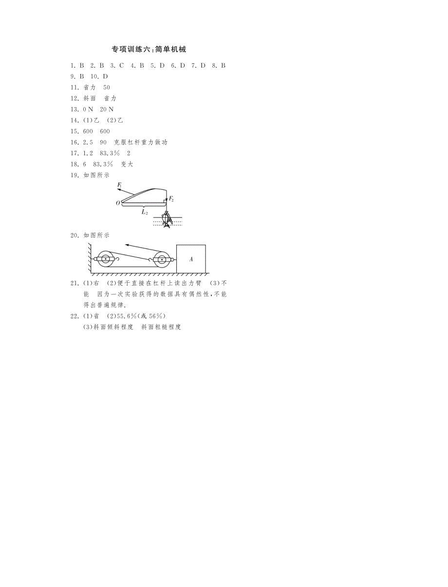 【课课练】八年级物理下册 专项训练六 简单机械_第5页