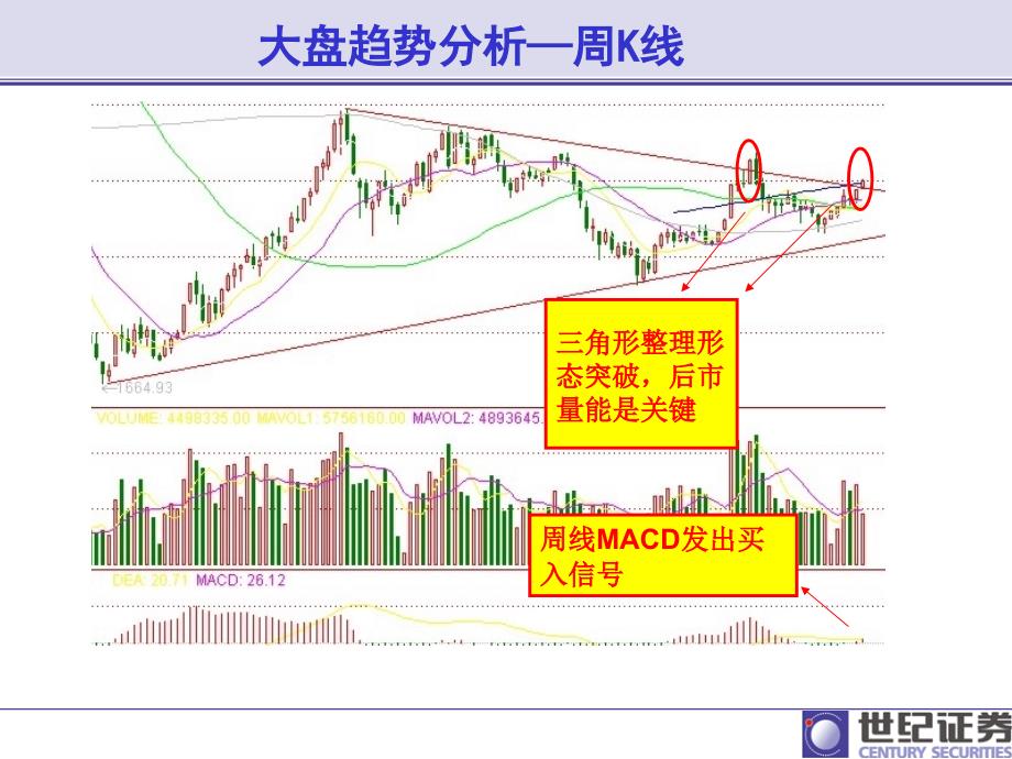 金彩晨会_第4页