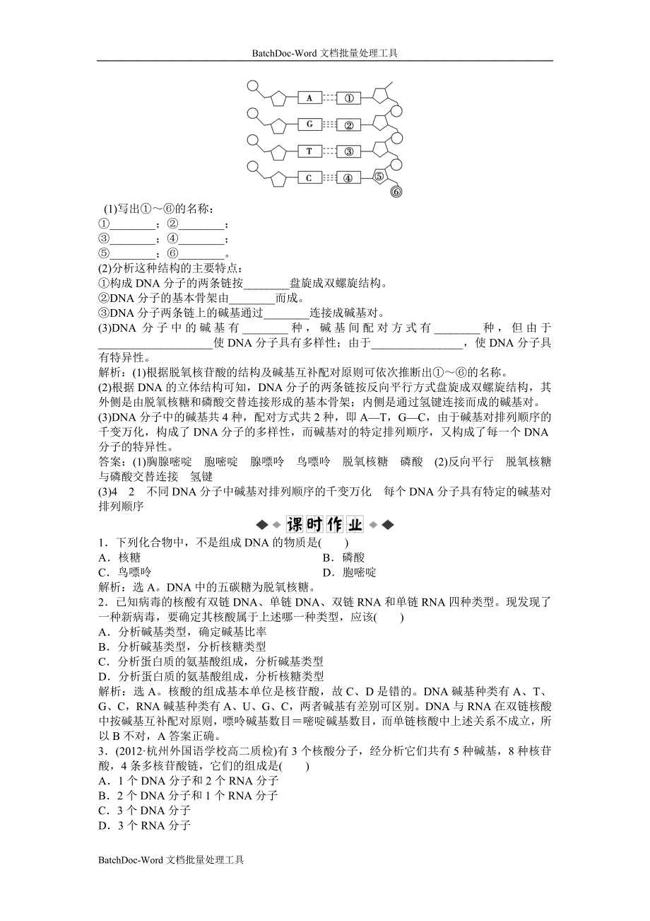 2013浙科版必修2第三章第二节《dna的分子结构和特点》word同步测试_第2页