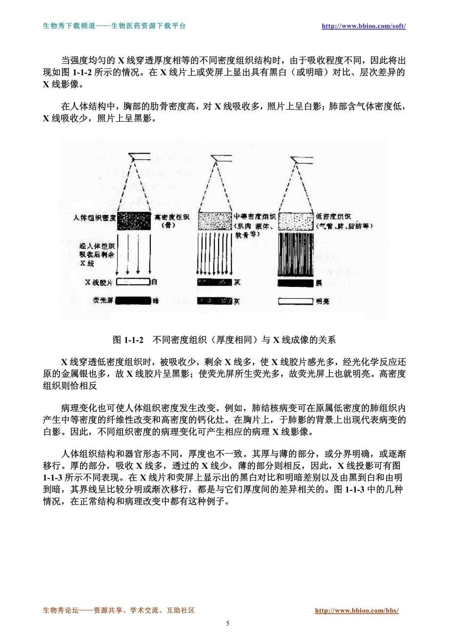 医学影像学_第5页