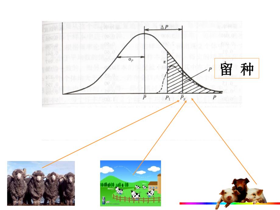 6-1个体遗传评定_第2页