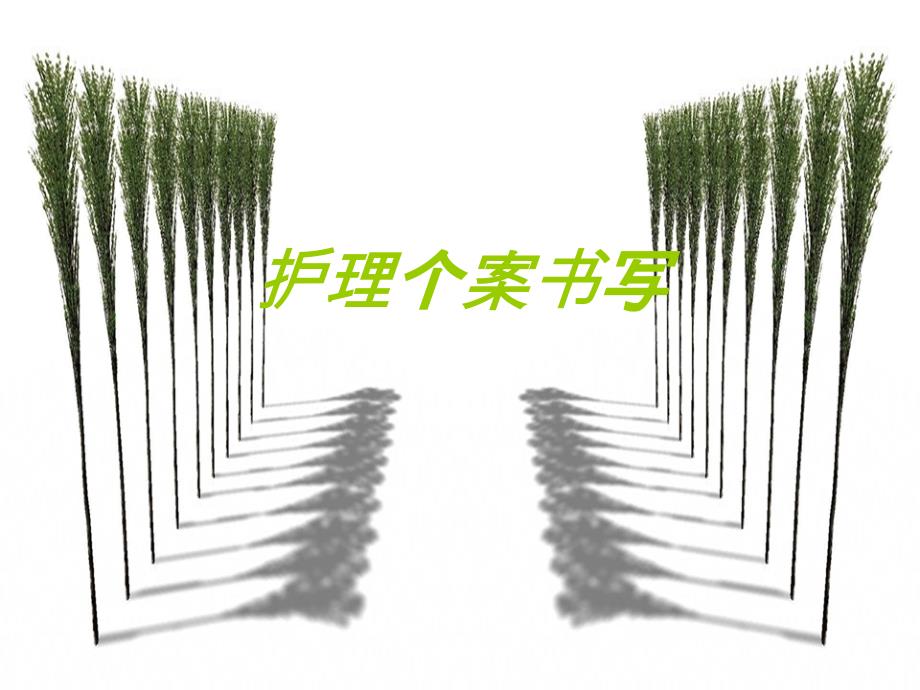护理个案书写.ppt - PowerPoint Template_第1页