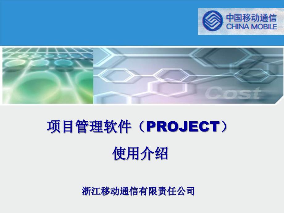 project 项目管理软件使用_第2页