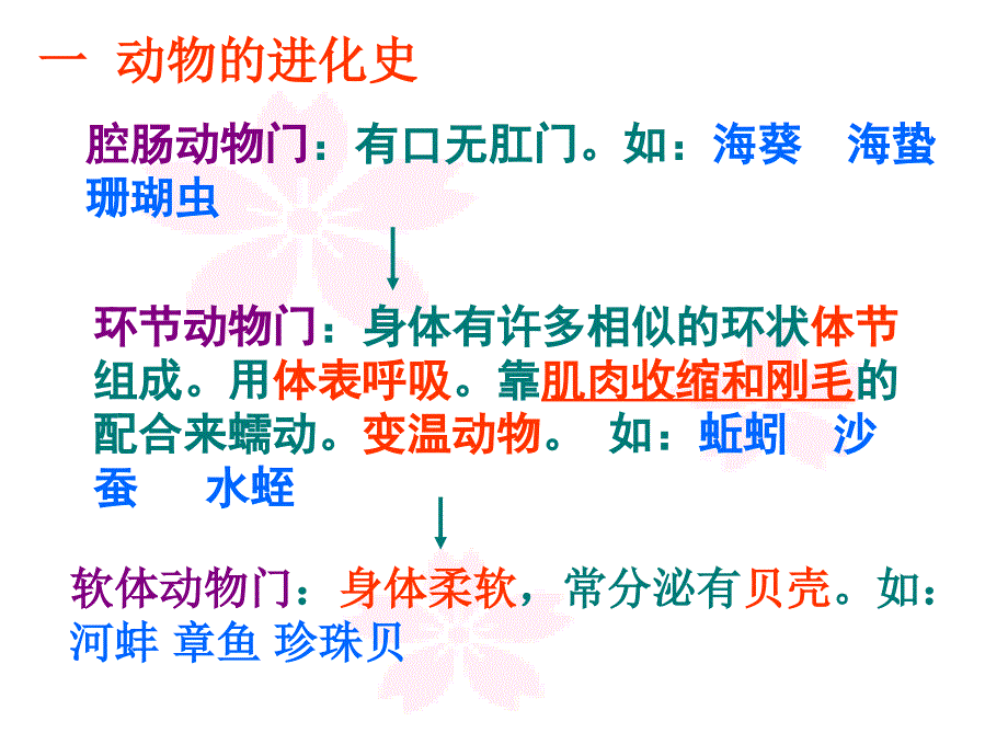 八年级上册段考复习_第2页