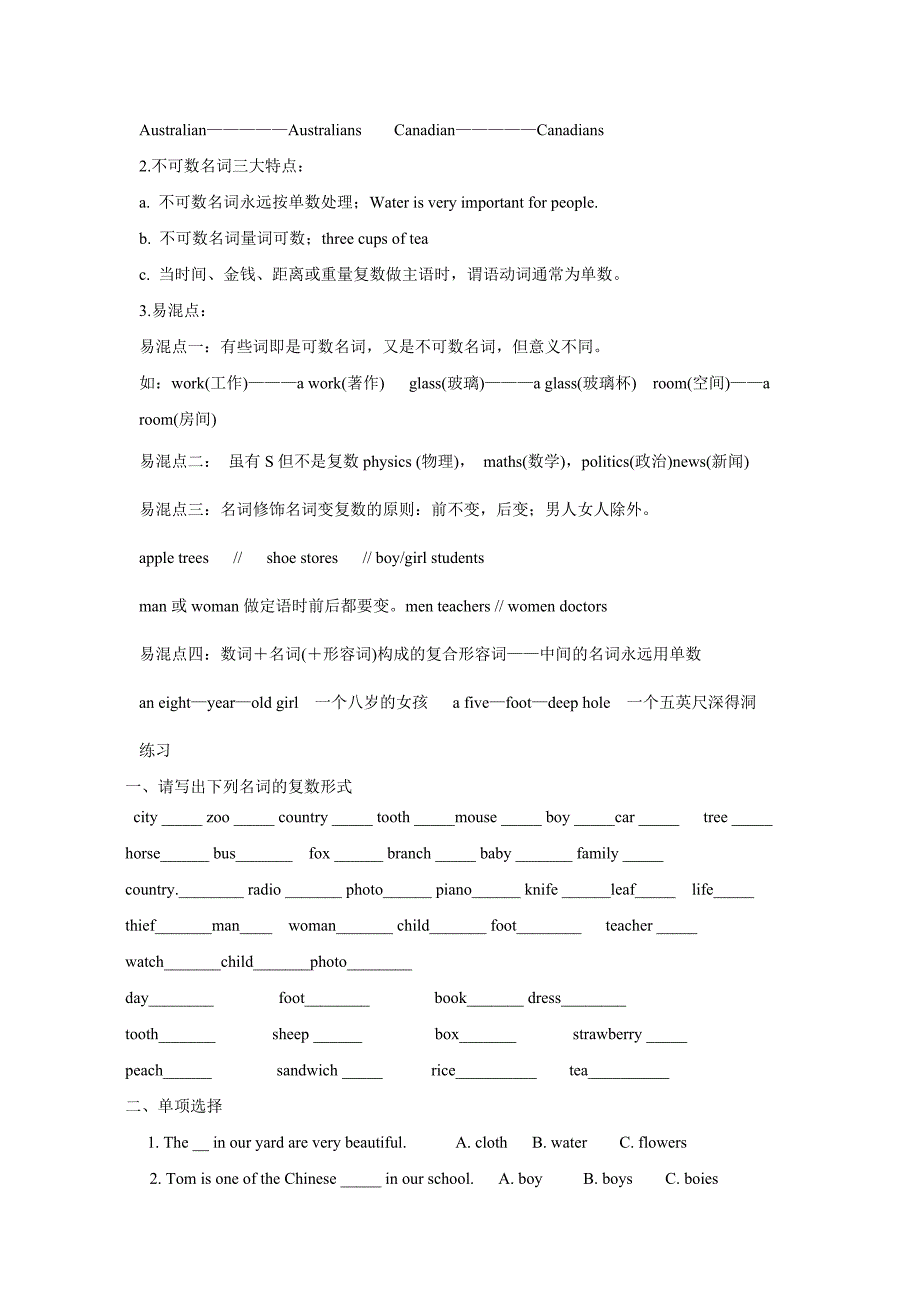 中考英语必备 名词重难点_第2页