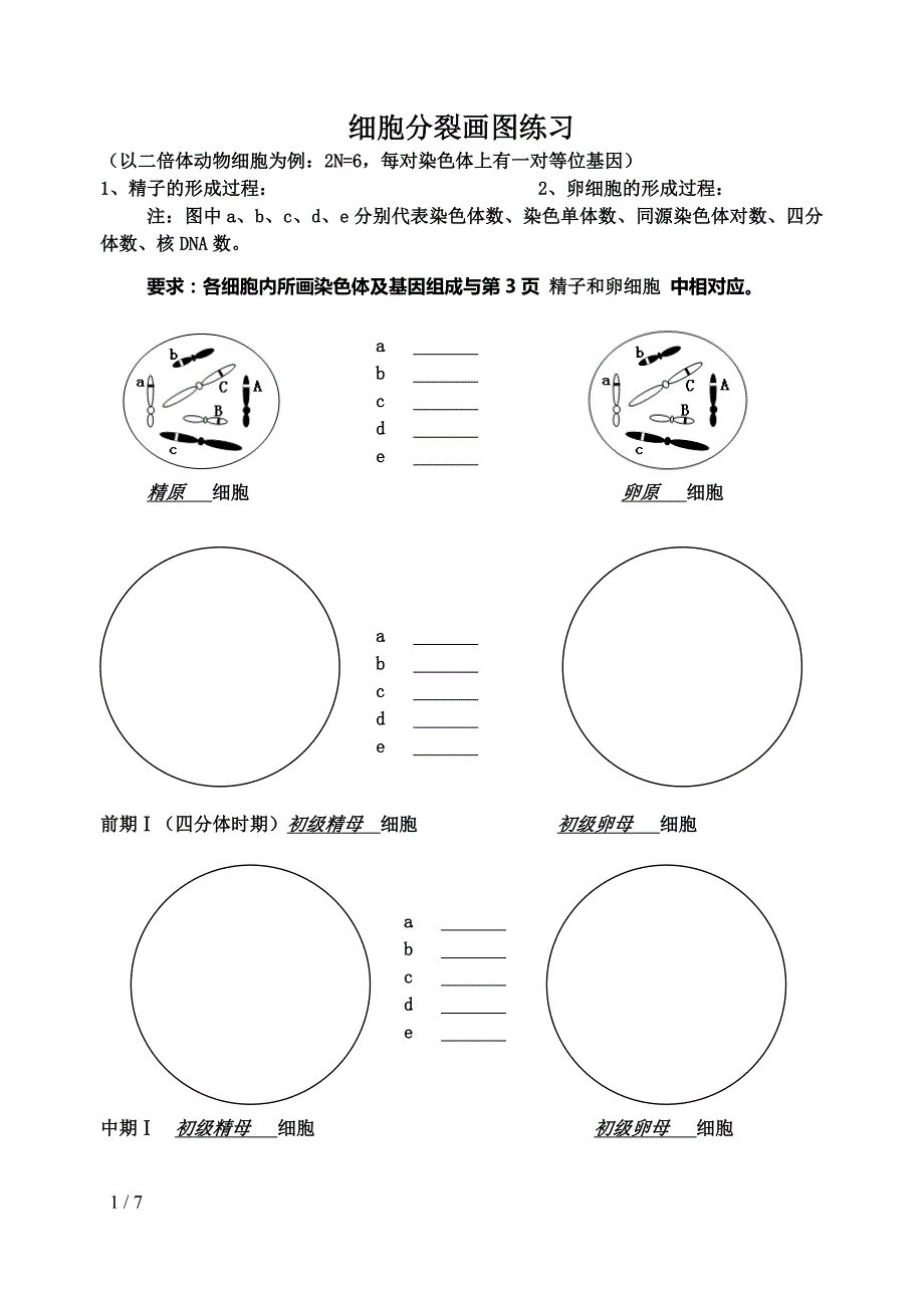 细胞分裂画图练习_第1页