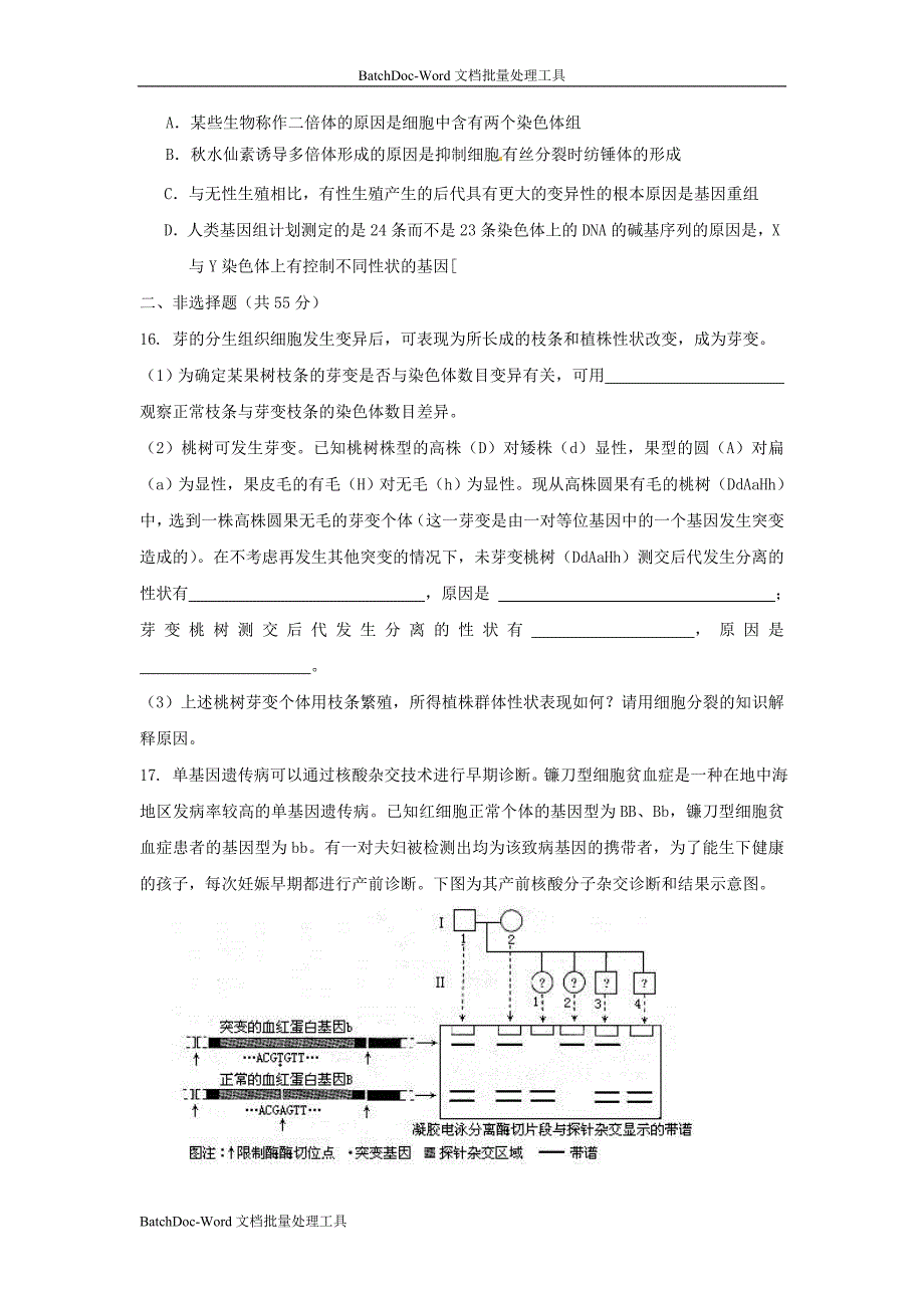 2013山东版必修2第三单元《遗传与变异的分子基础》word同步测试_第3页