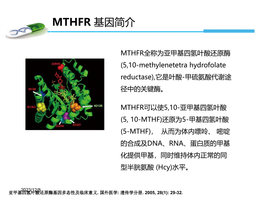 MTHFR基因检测与叶酸代谢(产科方向)方案_第3页