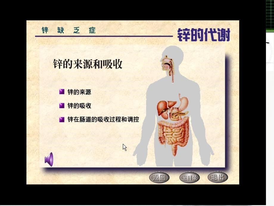 锌缺乏专科_第5页