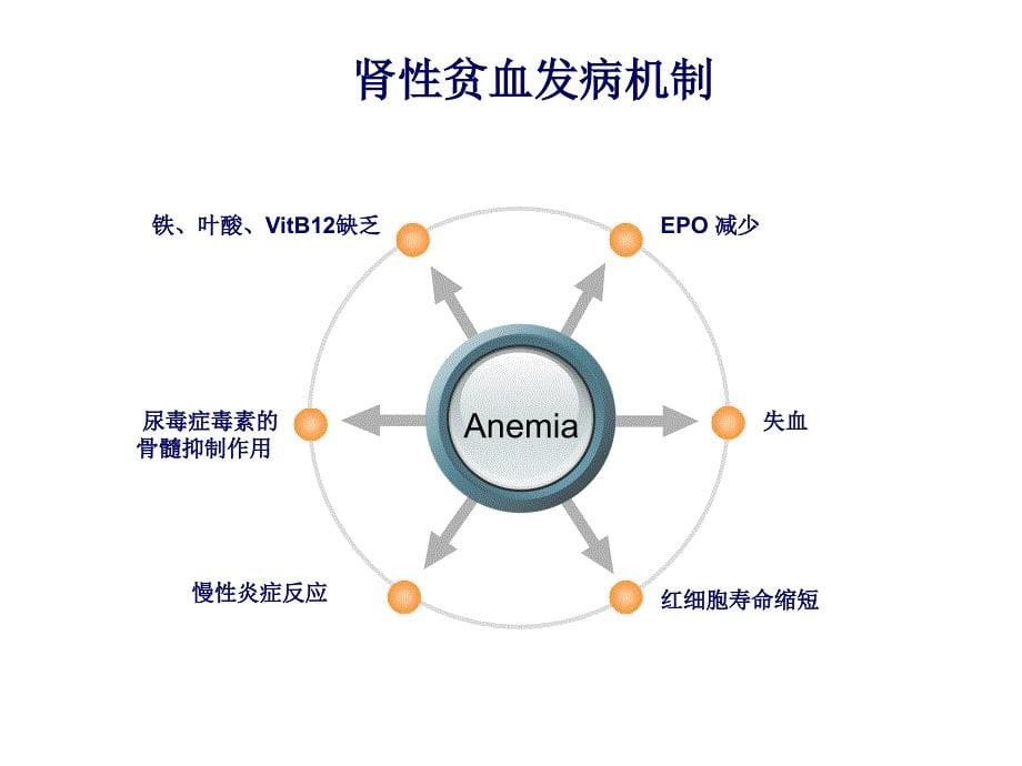 肾性贫血的诊治进展 课件_第5页