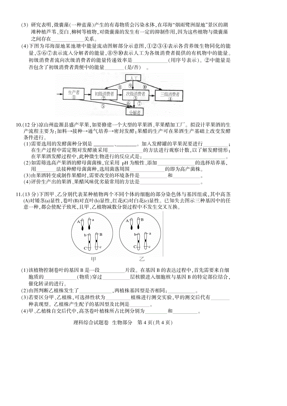 凉山州2014届高中毕业班第三次诊断性测试题 生物_第4页